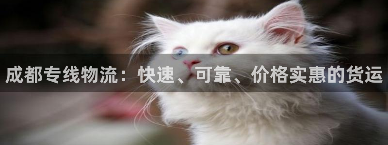 28圈充值不处理：成都专线物流：快速