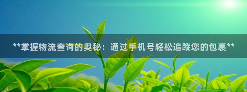 28圈女王中奖记录查询