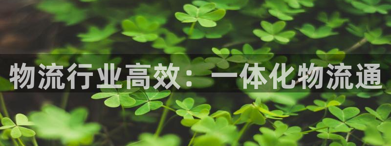 28圈注册号