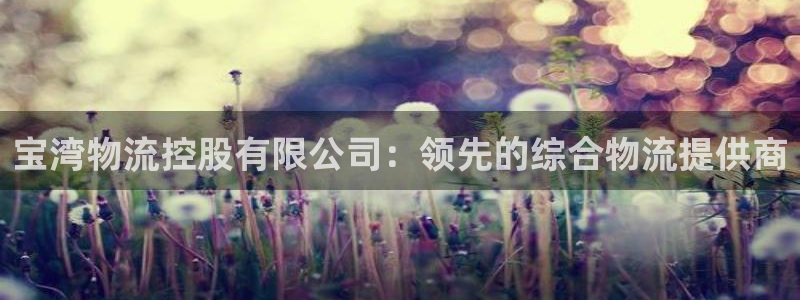 28圈预测加拿大