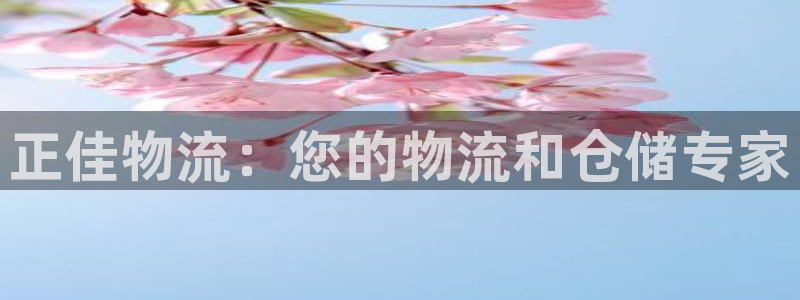 28圈怎么注册下载