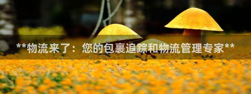 28圈代理落网