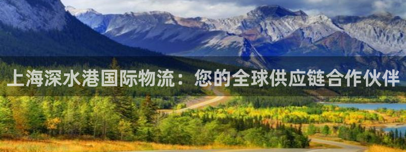 28圈初始资金密码是什么：上海深水港