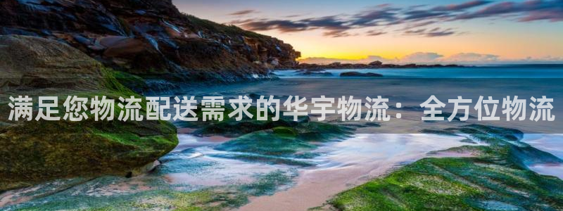 28圈防失联网址：满足您物流配送需求