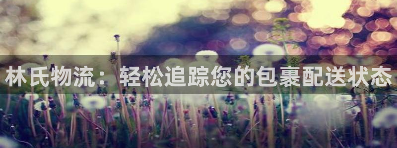 28圈app能退款吗