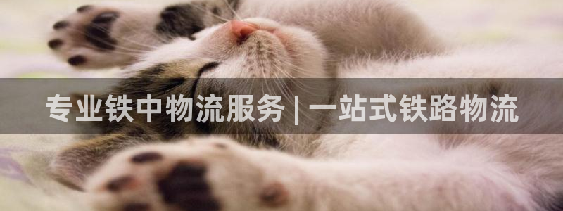 28圈技巧：专业铁中物流服务 | 一