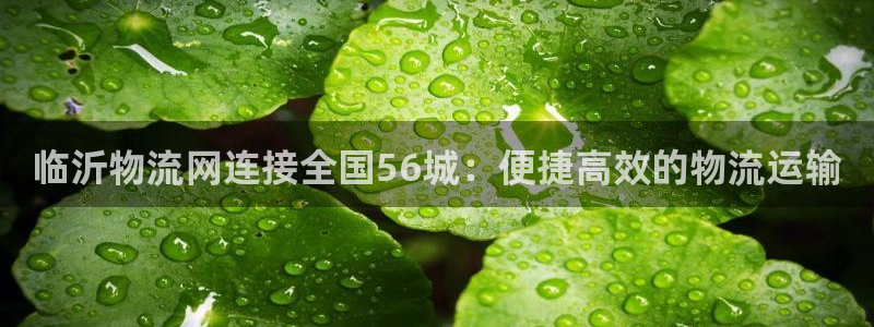 28圈登录网