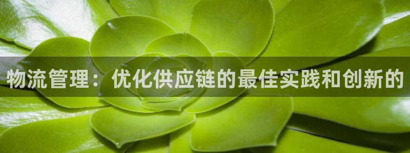 28圈注册送：物流管理：优化供应链的