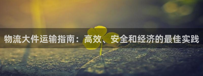 28圈充值不处理会怎么样：物流大件运