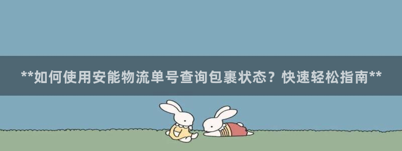 28圈官方网站：**如何使用安能物流