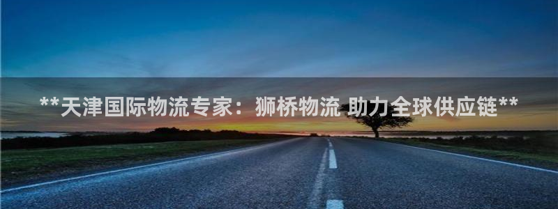 南宫28圈怎么注册：**天津国际物流