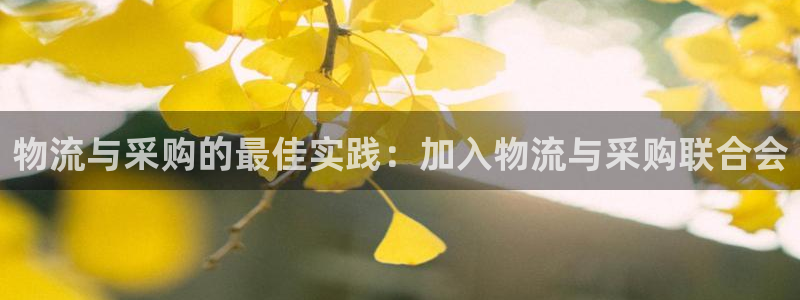 28圈加拿大是什么