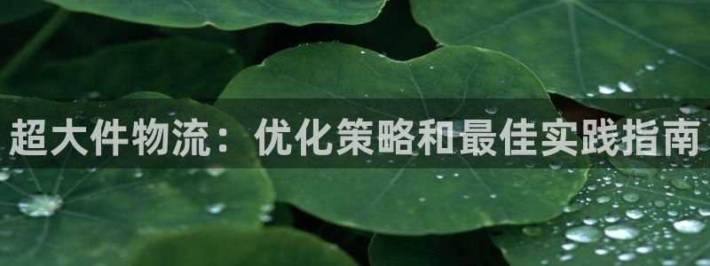 加拿大28圈注册链接：超大件物流：优
