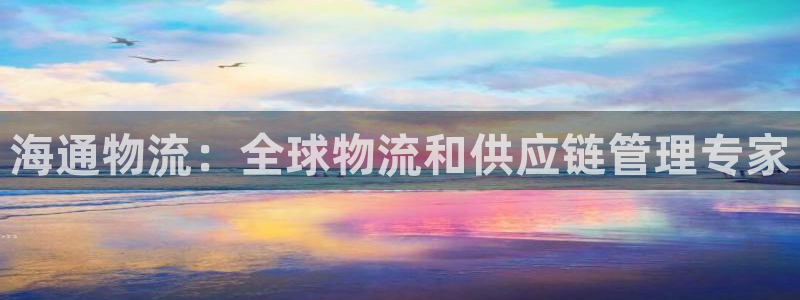 28圈最稳打法：海通物流：全球物流和