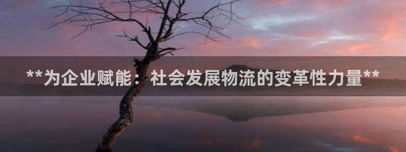 28圈二维码