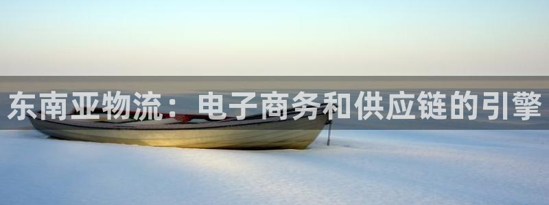 28圈模拟器下载