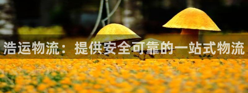 28圈初始资金密码在哪里改