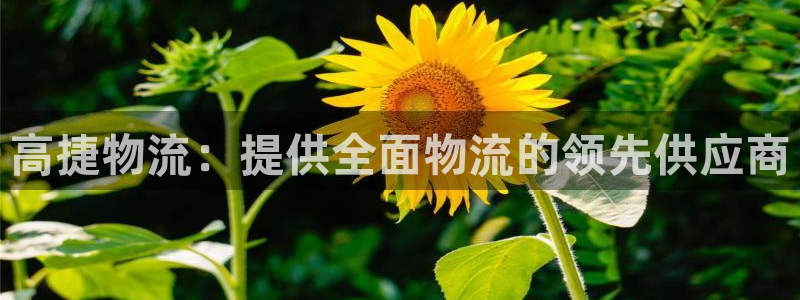 28圈初始资金密码是什么