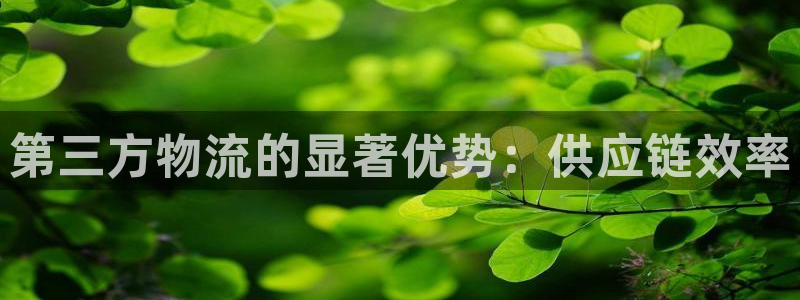 28圈反水