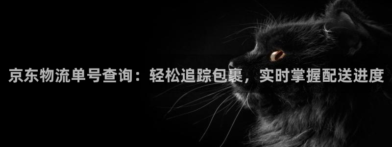 28圈加拿大真假怎么看