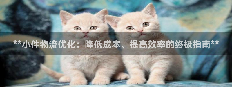 28圈注册官网：**小件物流优化：降
