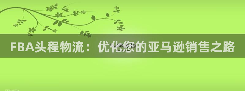 28圈游戏官网平台：FBA头程物流：