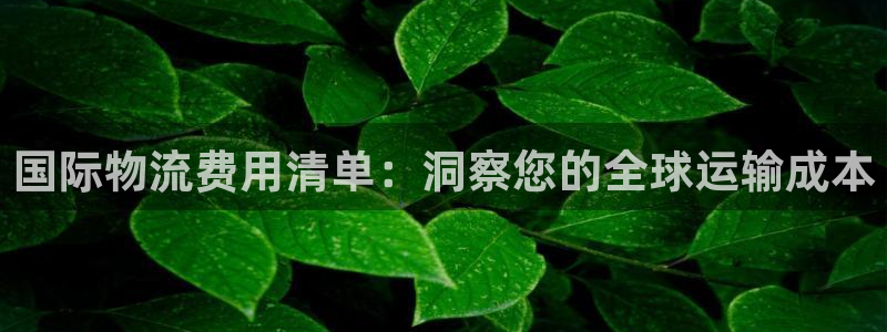 28圈加拿大是什么：国际物流费用清单