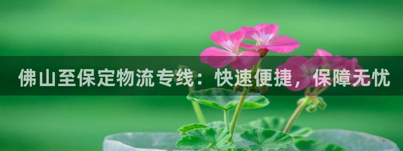 28圈注册账号： 佛山至保定物流专线