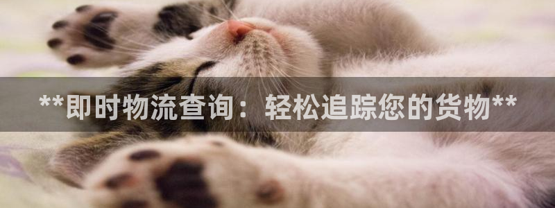 28圈初始资金密码是什么：**即时物