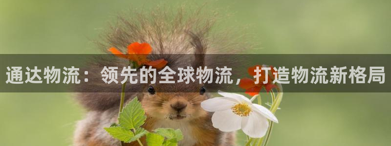 28圈口内径是多大