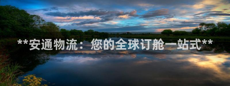 28圈注册网页：**安通物流：您的全