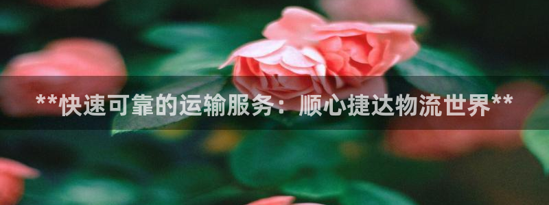 28圈注册链接：**快速可靠的运输服