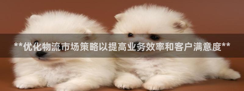 28圈娱乐官网网页：**优化物流市场