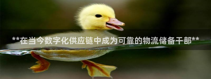 28圈注册教程：**在当今数字化供应