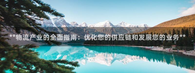 28圈绿骨头：**物流产业的全面指南