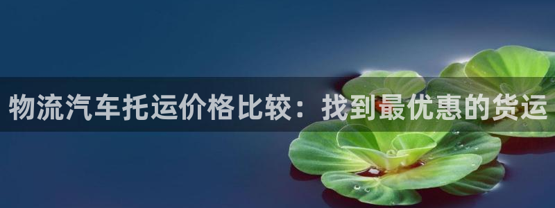 28圈旗下：物流汽车托运价格比较：找