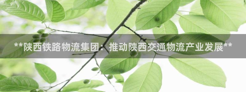 28圈账号注册：**陕西铁路物流集团