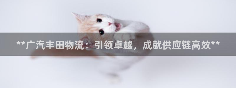 28圈选28ng官网：**广汽丰田物