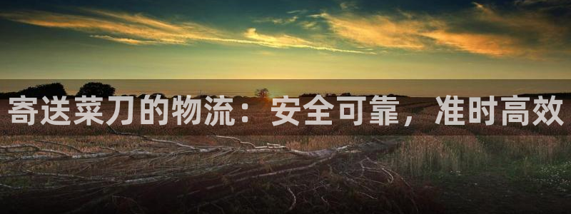 南宫28圈官网：寄送菜刀的物流：安全