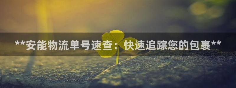 28圈是什么软件：**安能物流单号速