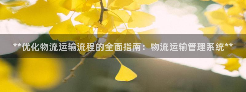 pc28圈怎么注册：**优化物流运输