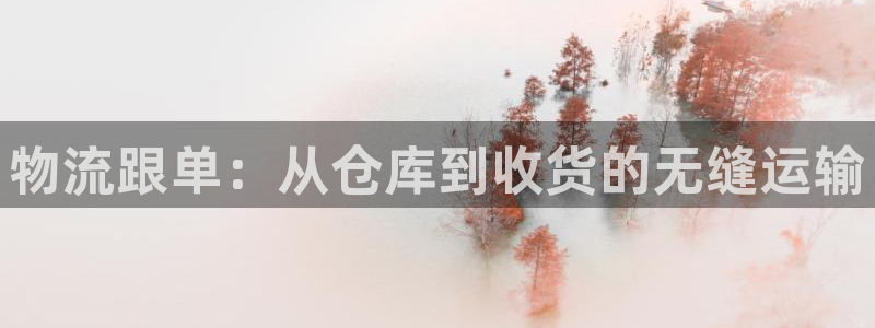 28圈官网网站：物流跟单：从仓库到收