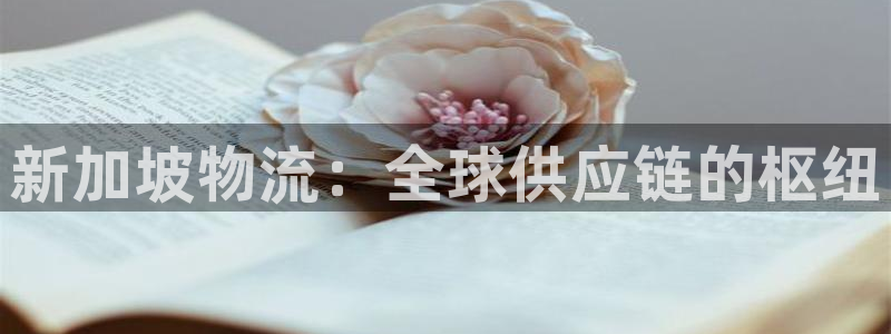28圈赌博软件正规吗：新加坡物流：全
