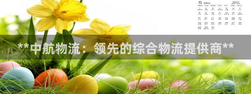 28圈初始密码在哪里修改：**中航物流：领先的综合物流提供商