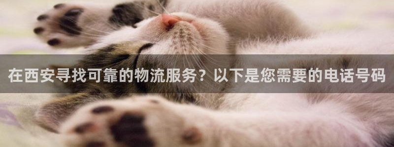 28圈.ccmpc正版：在西安寻找可