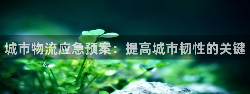 28圈如何注销账号：城市物流应急预案