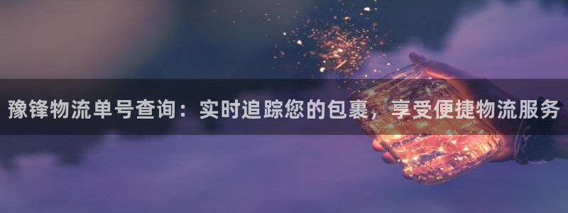 28圈的自行车：豫锋物流单号查询：实