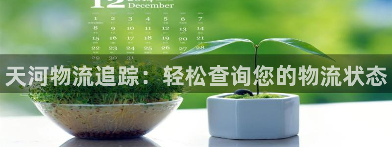 28圈不给提现：天河物流追踪：轻松查询您的物流状态