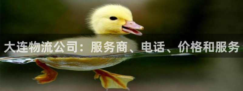 28圈选28ng官网：大连物流公司：