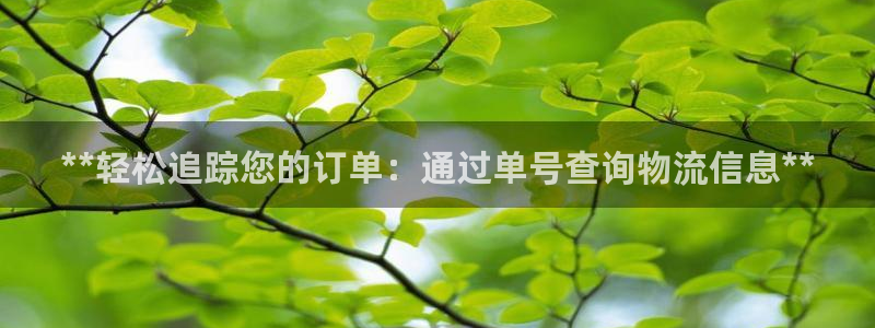 28圈app赢了500万